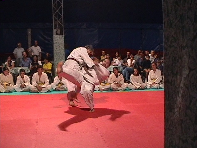 judo12.jpg