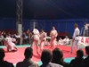 judo35.jpg